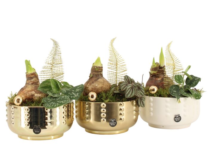 61887: X-mas arrangement, D 17