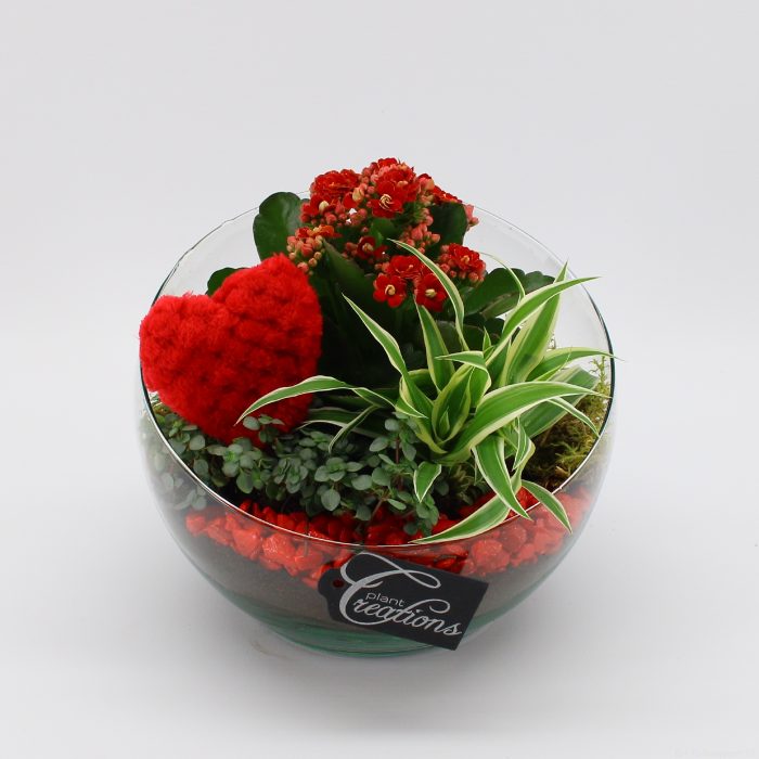 RMCR-2620R Romantic Essentials, D 18