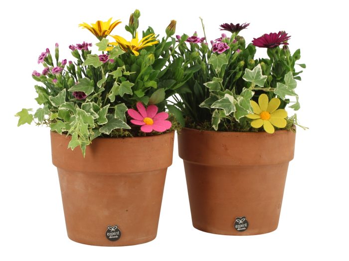 31695: Outdoor summer arrangement, D 17