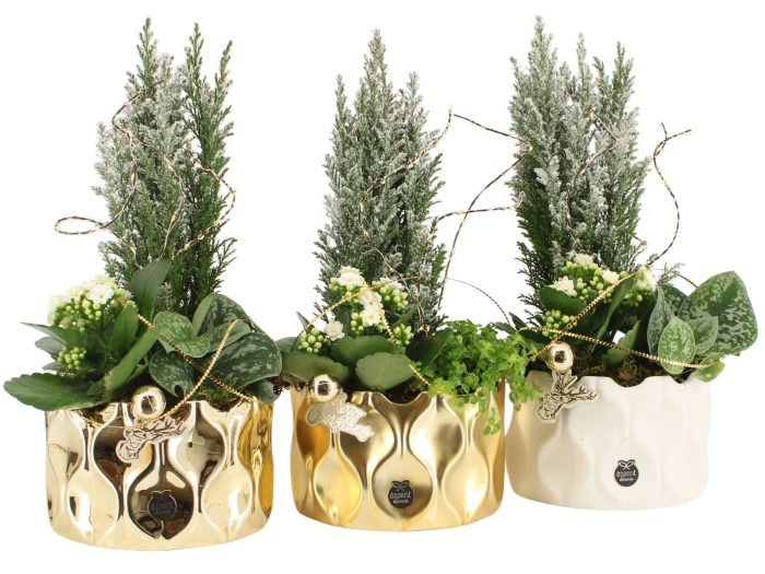 61630: X-mas arrangement met LED, D 16