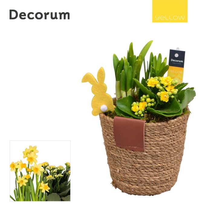 Calandiva & Narcis Basket & Leather Label HL22985 [YELLOW], D 13