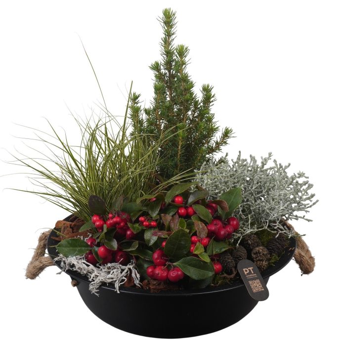 PTWO2893 Arrangement Winter Outdoor in metalen schaal, D 29