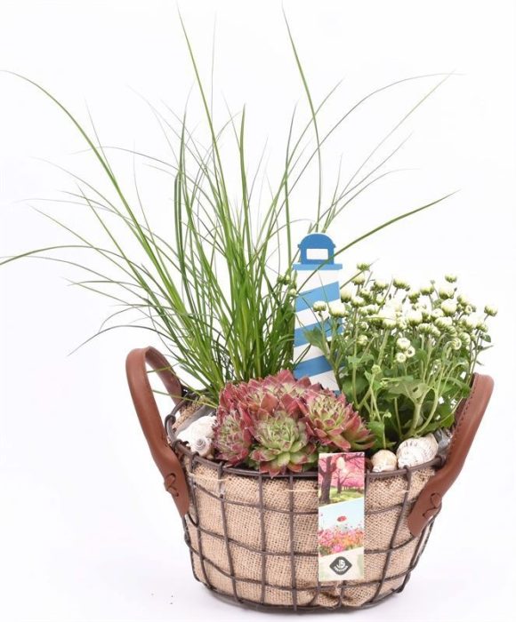 Gaasmand met jute 21x15.5cm, D 21