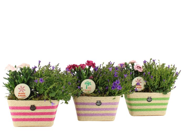 31600: Outdoor summer arrangement, D 17