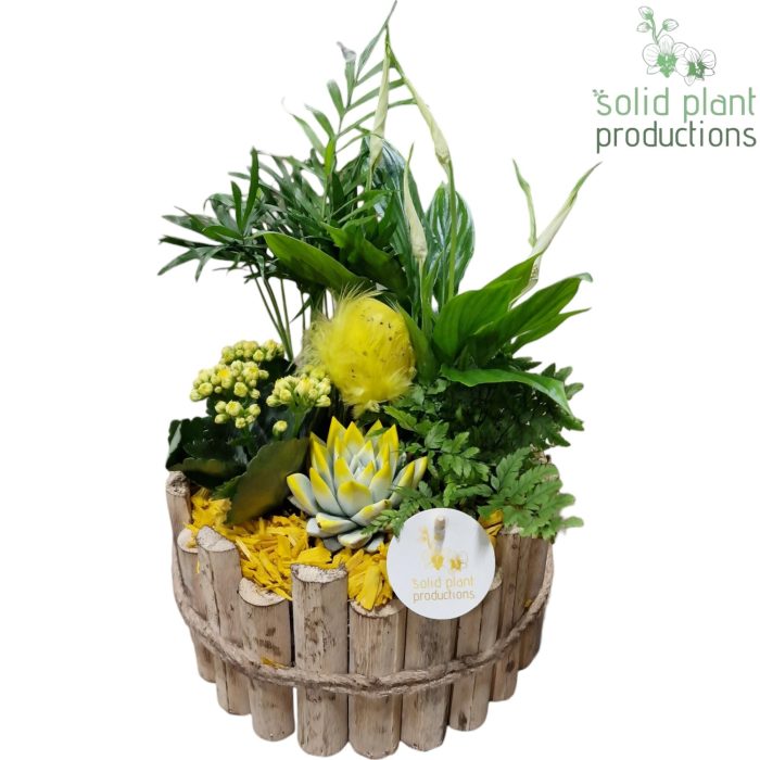 HPSC002 Milano Large Yellow Easter, D 23