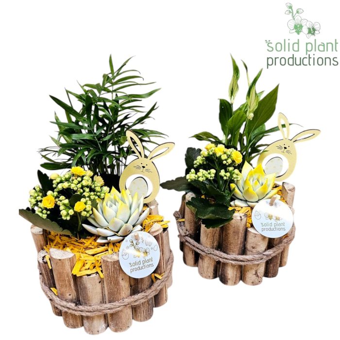 HSCE001 Milano Small Easter, D 17