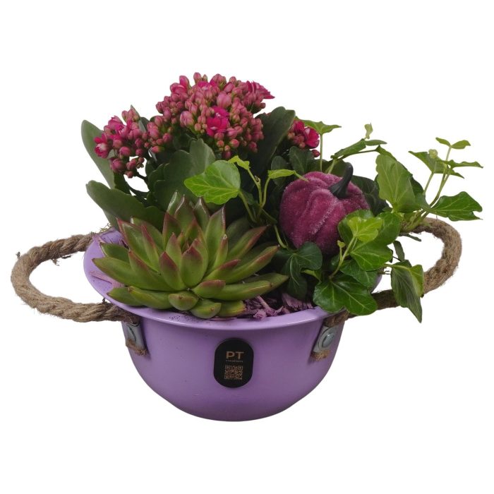 PTHI3374 Arrangement Autumn Indoor in metalen schaal, D 16