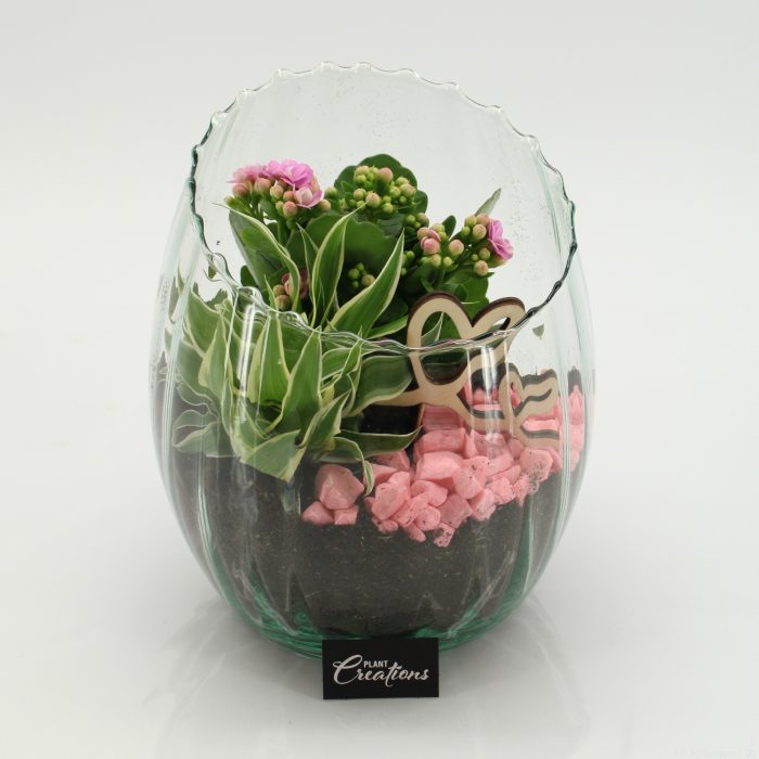 MDCR-2623 Mother's day Essentials, D 16