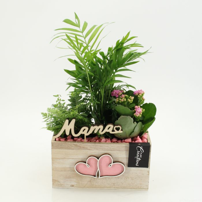 MDCR-2633RZ Mother's day Essentials, D 20