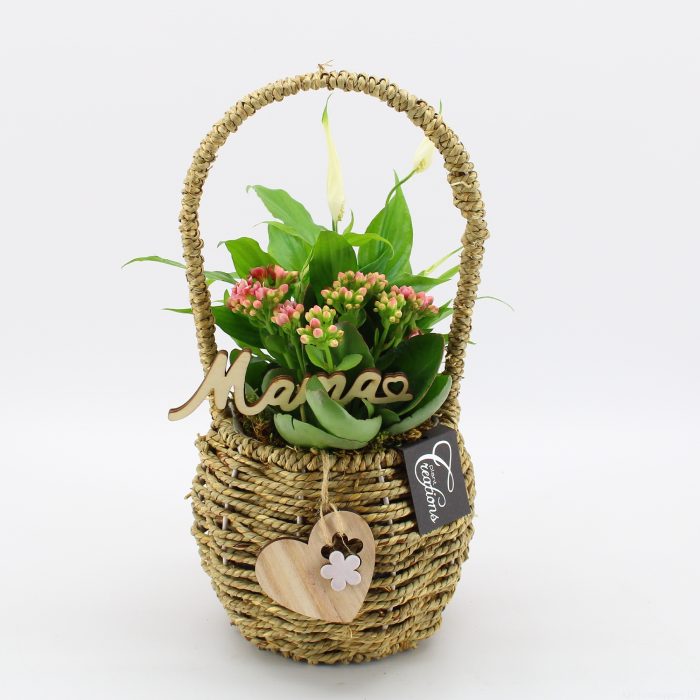 MDCR-2634 Mother's day Essentials, D 16