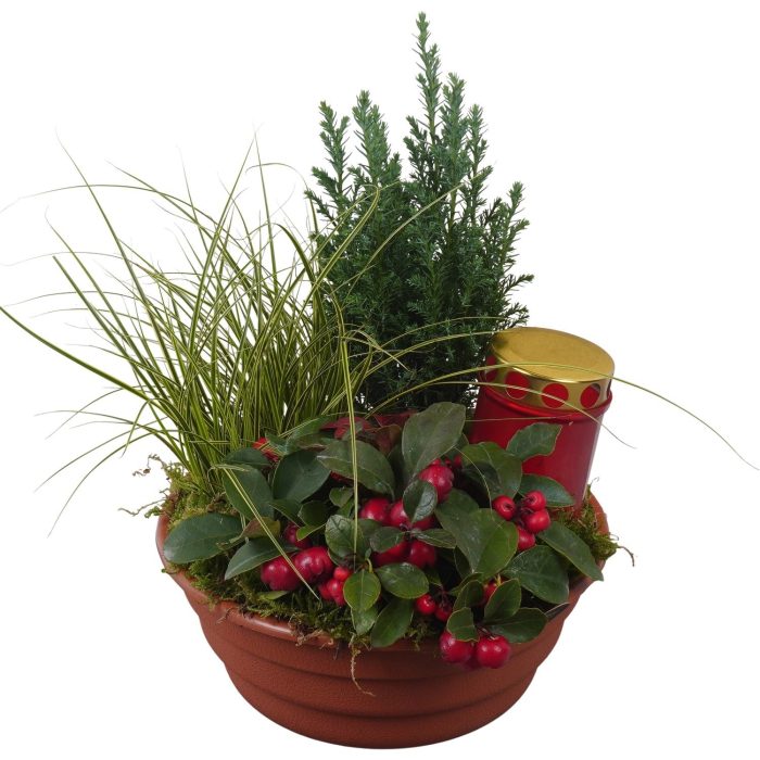 PTAH3071 Arrangement Allerheiligen in plastic schaal, D 21