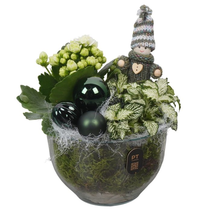 PTCHGR1912 Arrangement Christmas Green in glazen vaas, D 13