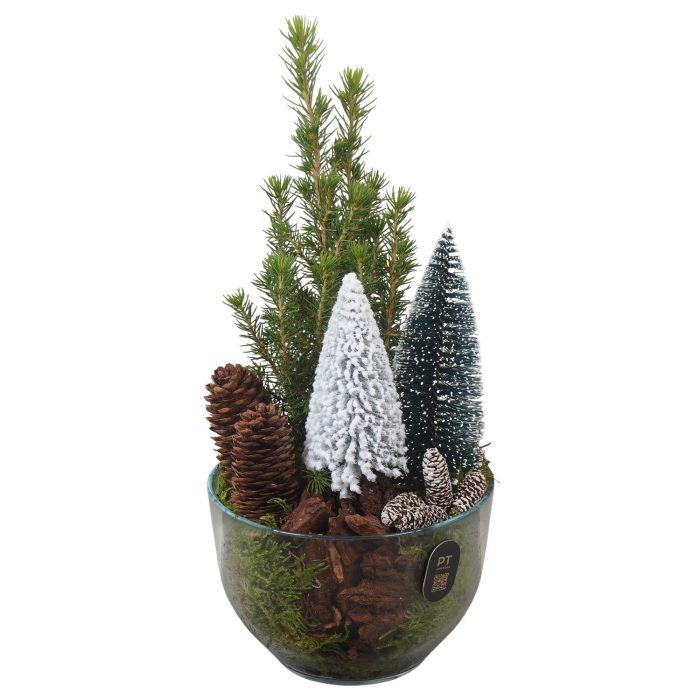 PTCWW7744 Arrangement Winter in glas schaal, D 13