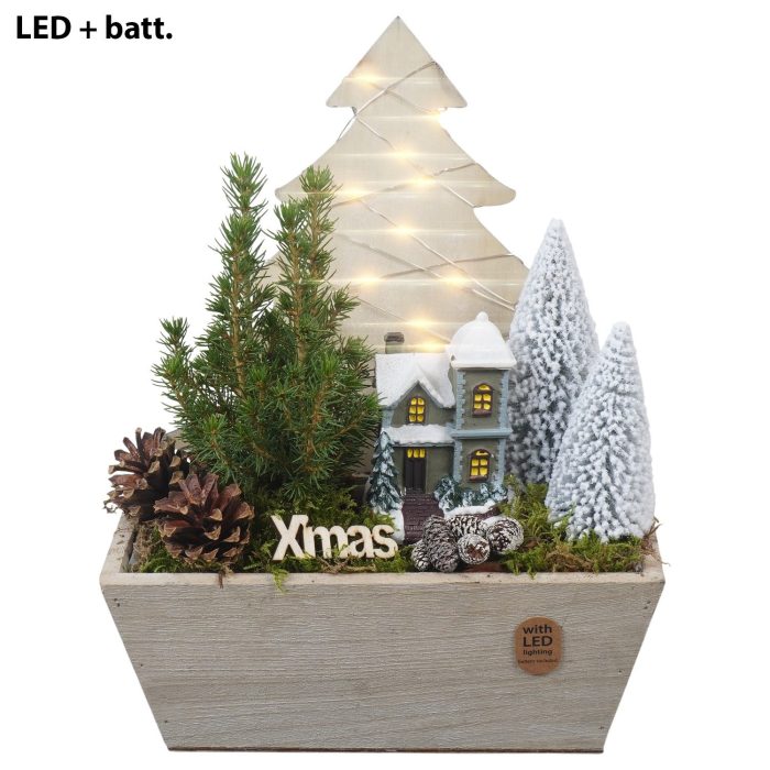 PTCWW7761 Arrangement Winter in houten bak met led, D 23
