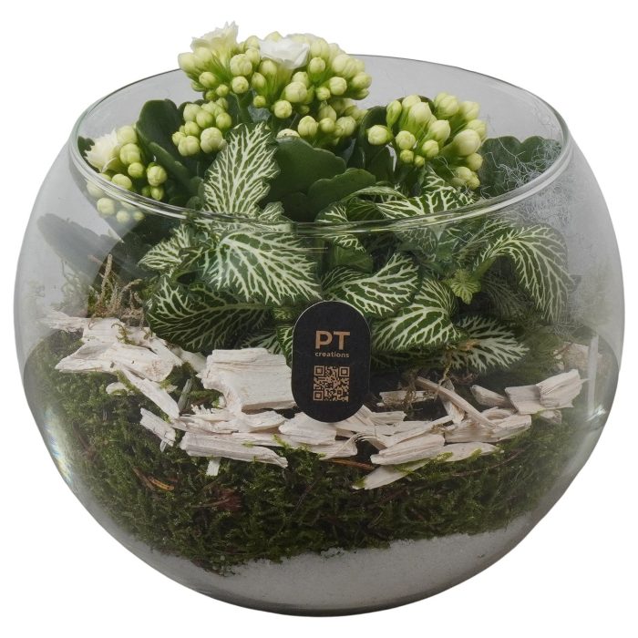 PTHG8215 Arrangement Autumn Glass in glazen vissenkom, D 16