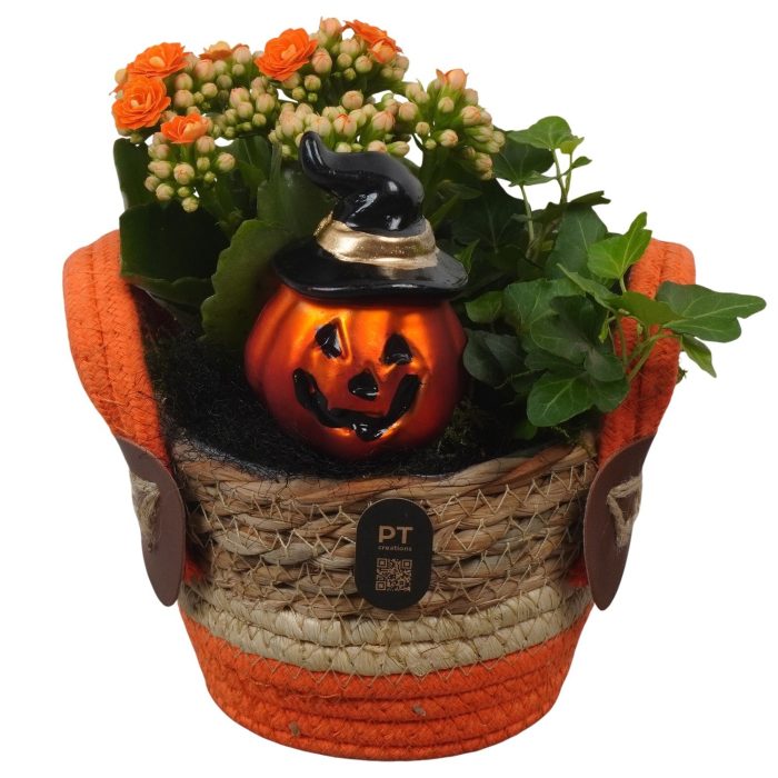 PTHL3519 Arrangement Halloween in rieten mand, D 12
