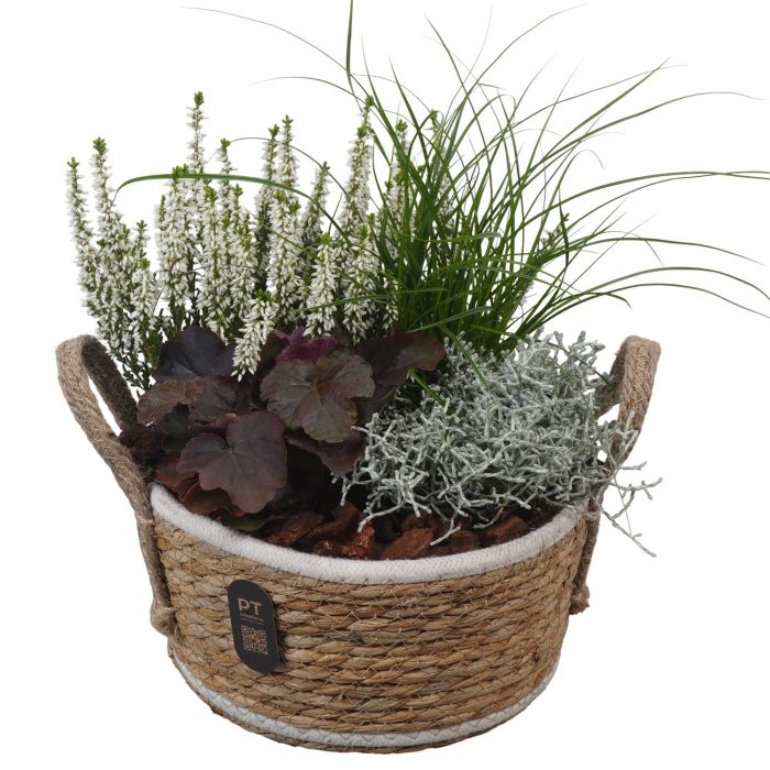 PTHO7535 Arrangement Autumn Outdoor in rieten mand, D 22