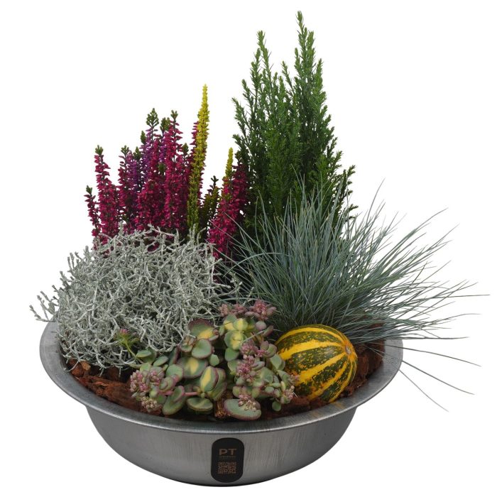 PTHO7583 Arrangement Autumn Outdoor in metalen schaal, D 29