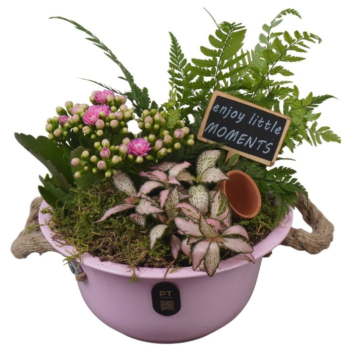 PTIB5320 Arrangement Indoor in metalen schaal, D 18