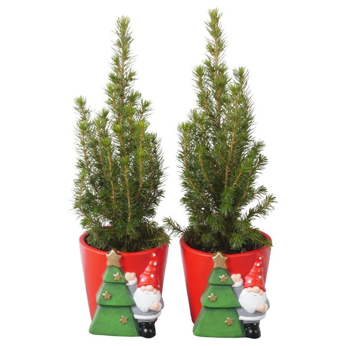 PTK26168 Conica Perfecta in keramiek pot, D 11