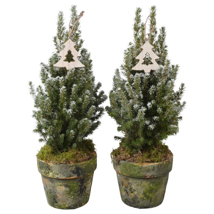 PTK26417 Conica Perfecta met sneeuw in terracotta pot met decoratie, D 17