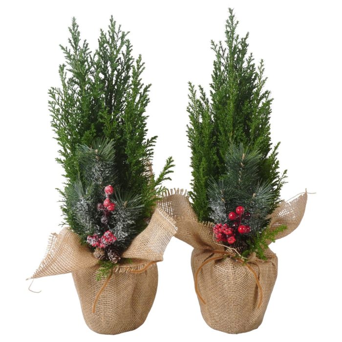 PTK26906 Ellwoodii in jute met decoratie, D 13