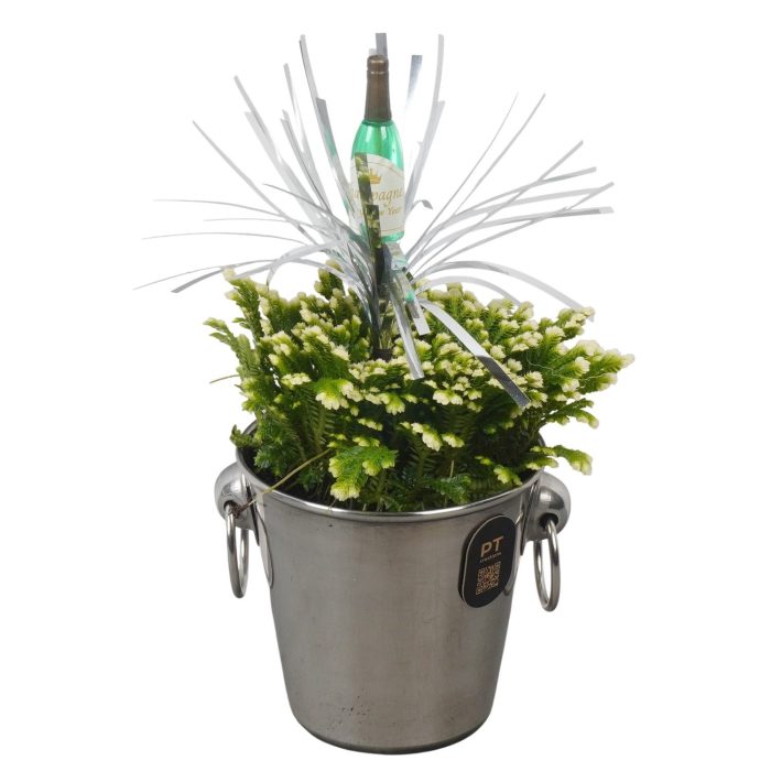 PTON6707 Arrangement New Year in metaal emmer, D 9