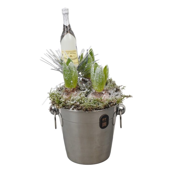 PTON6711 Arrangement New Year in metaal emmer, D 12