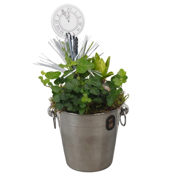 PTON6719 Arrangement New Year in metaal emmer, D 12