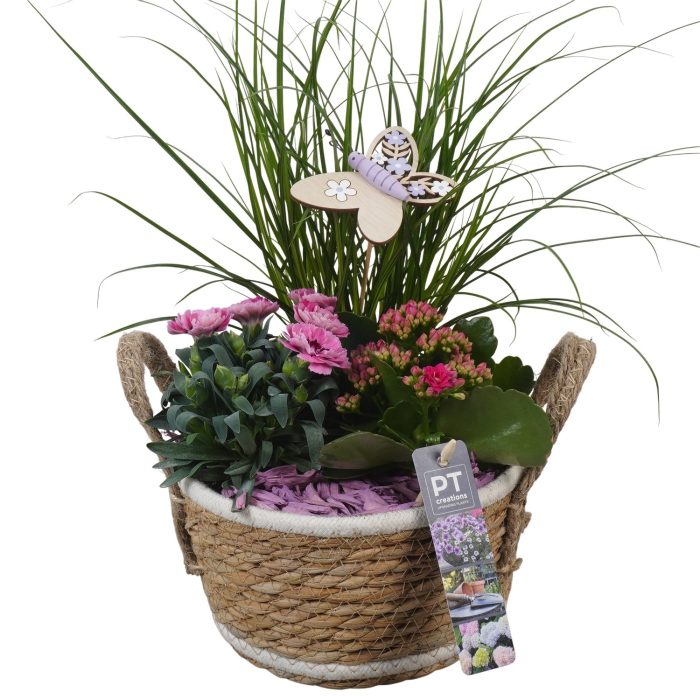 PTPP6947 Arrangement Patio in rieten mand, D 18