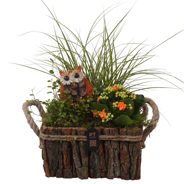 PTHI3348 Arrangement Autumn Indoor in houten bak, D 20