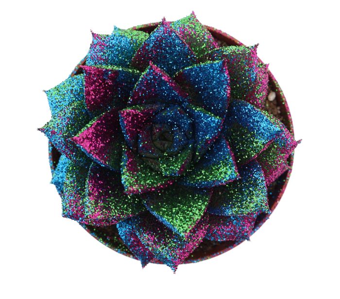 Purper disco glitter, D 8,5