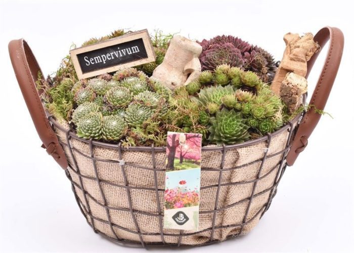 Gaasmand met jute 21x15.5cm, D 21