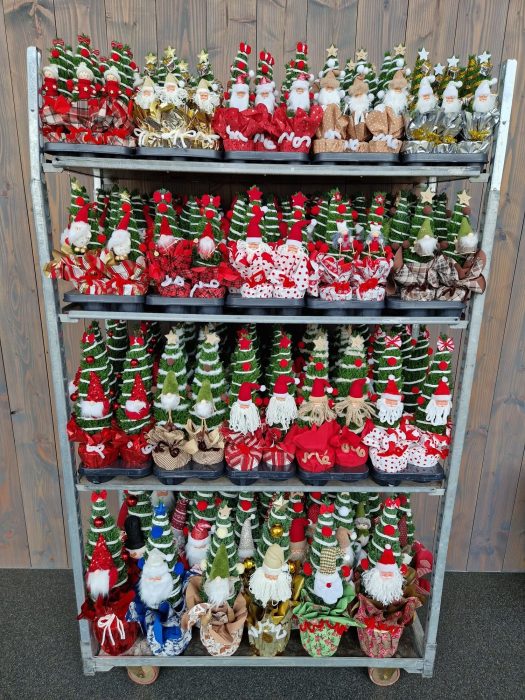 Christmas Puppets® - Chamaecyparis Ellwoodii | Mix CC, D 17