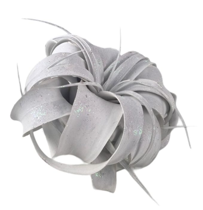tillandsia xerographica wit met glitter, D 18