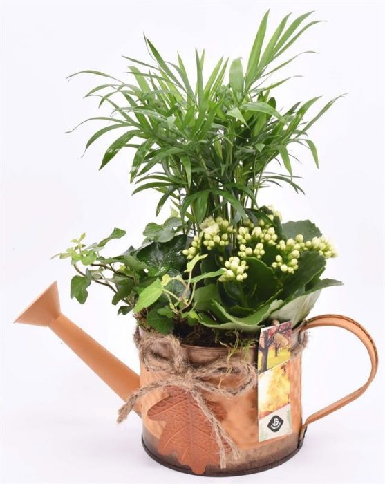 Zink gieter met herfst blad 12cm, D 26