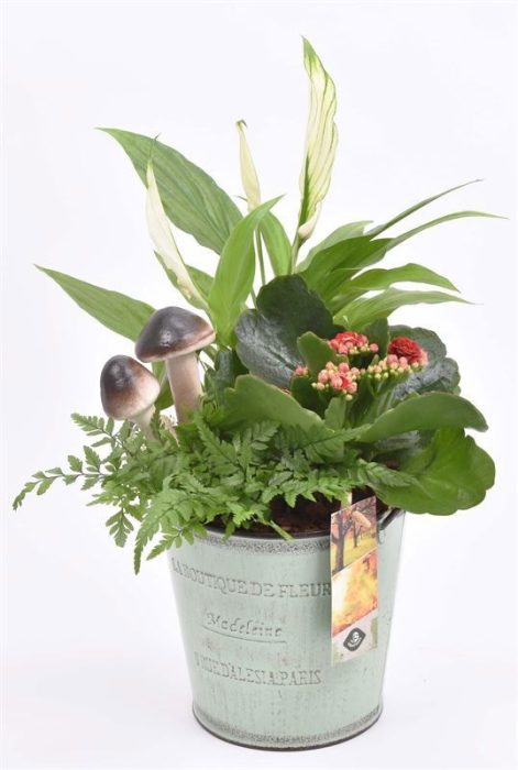 Zink pot groen met oren 13.5cm, D 14